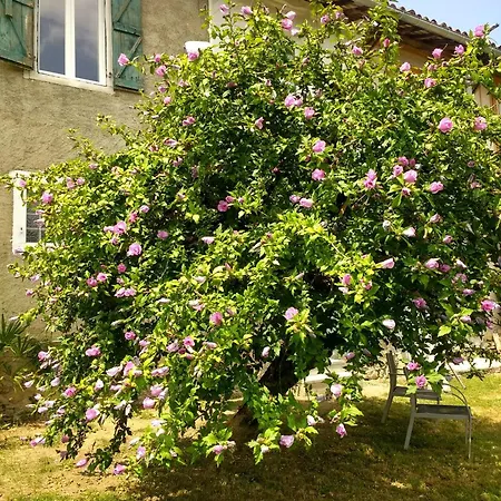 شقة Pyrenees Vue Gite Hoopoe - Le Plus Commentaires Positifs,Vues Fantastique, Petit-Dejeuner, Calme, Piscine, Parking سان جودُ