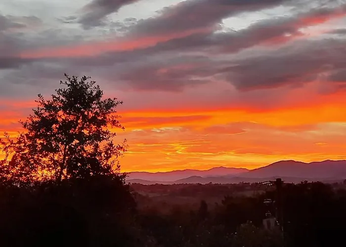 Pyrenees Vue - Commentaires Positifs - Vues Fantastique, Tres Bon Petit-dejeuner, Calme, Piscine, Parking Appartement